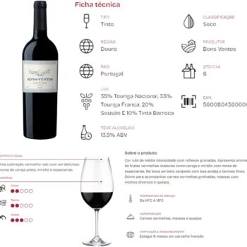 Vinho Bons Ventos Douro Tinto 750ml