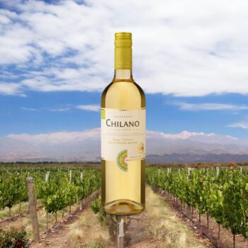 Chilano Vinho Chileno Branco Sauvignon Blanc 750Ml