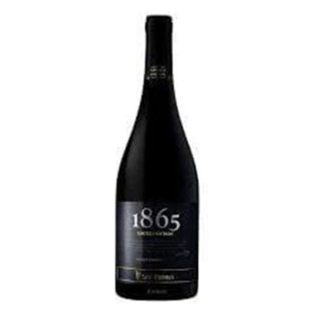 Vinho 1865 Single Vineyard – Malbec