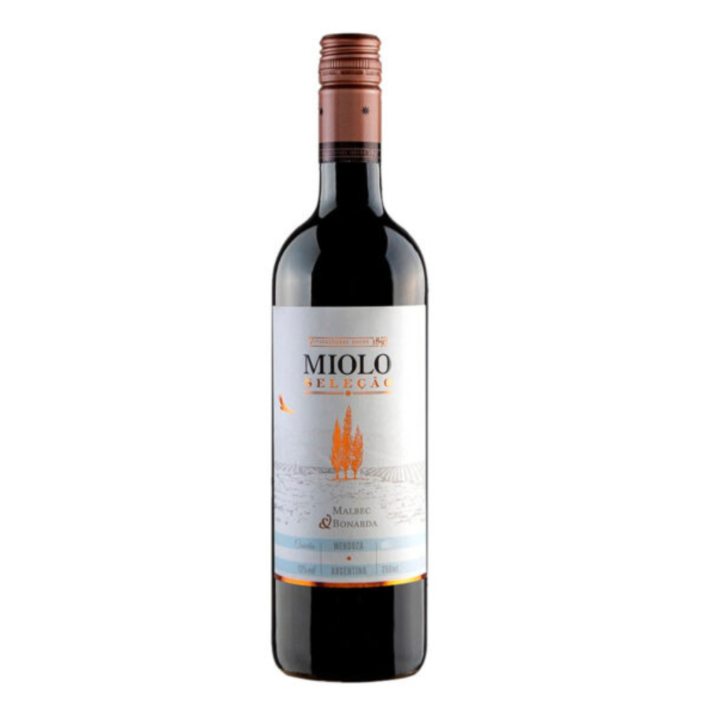 Design-sem-nome-2025-09-07T171310.874.png