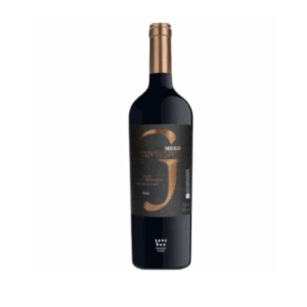 Design-sem-nome-2025-09-07T172648.163.png