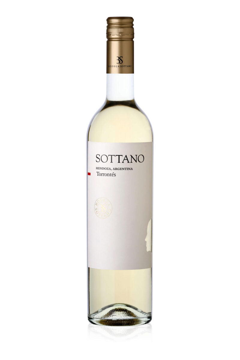 Sottano-Torrontes-reflejo-scaled-e1729644600222.jpg