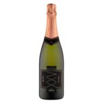 VIN-0357LuizArgentaTerroirXXVIIBrutRose.jpg