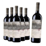compre-5-leve-6-vinho-casa-perini-fracao-unica-cabernet-sauvignon-750ml.jpg