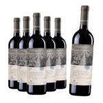 compre-5-leve-6-vinho-casa-perini-fracao-unica-merlot-750ml.jpg