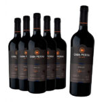 compre-5-leve-6-vinho-casa-perini-merlot-750ml.jpg