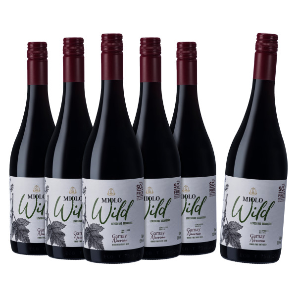 compre-5-leve-6-vinho-miolo-wild-gamay-750ml.jpg