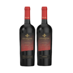 kit_sabores_do_chile_2_garrafas_607_1_9b060297d2519b5c57d4d6c3b0b2c1df.png